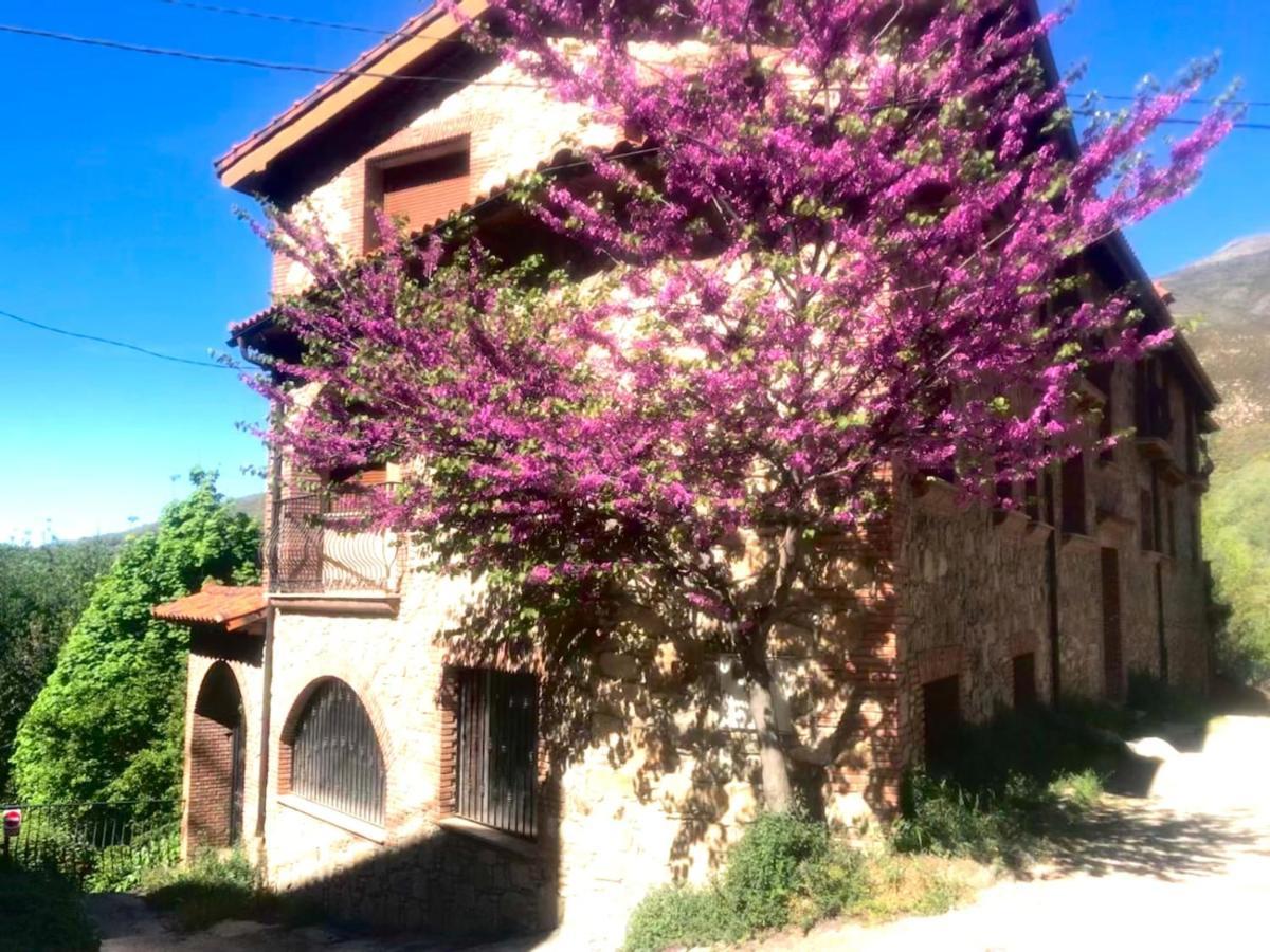 La Almazara Del Guijo Apartment Guijo de Santa Barbara ภายนอก รูปภาพ